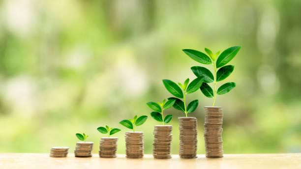 Navigating Property Cashflow Shortfalls: Practical Steps for Financial Resilience